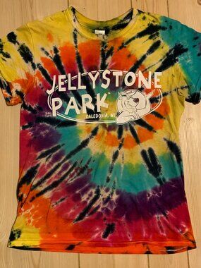 Vintage Y2K Jellystone Park Camp Camping Resort Rec Staff Tie-Dye T-Shirt S